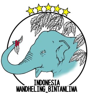 画像2: マンデリン・ビンタンリマ（インドネシア産）