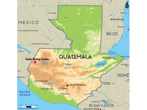 画像6: グアテマラ・ウイツマティグ農園