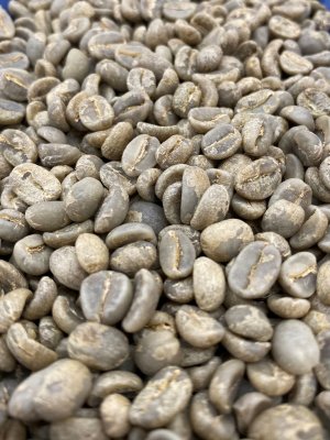 画像8: ラ・クプラ農園アンティグア(グァテマラ産)