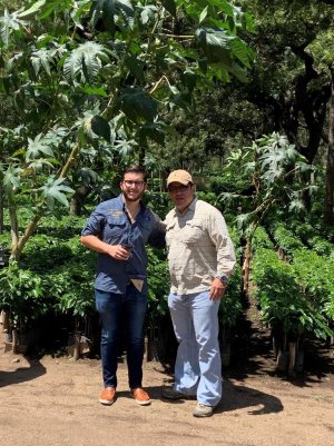 画像4: ラ・クプラ農園アンティグア(グァテマラ産)