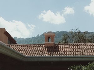 画像7: ラ・クプラ農園アンティグア(グァテマラ産)