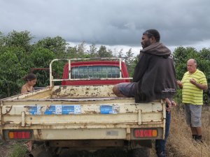 画像3: パプアニューギニア・バロイダ農園