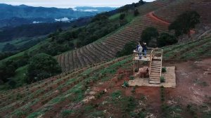 画像5: エクスプレス・クロップ・サンタヘレナ農園（ブラジル産）