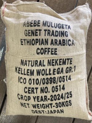 画像2: エチオピア・ネケムテG1・アンフィロ