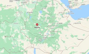 画像4: エチオピア・ネケムテG1・アンフィロ