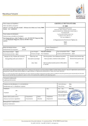 画像6: ニューカレドニア・ル・ドメーヌ・イダマーク農園エドゥアール