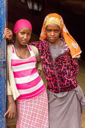 画像4: イルガチェフェG1・ウェギダブルー「Ｎ」（エチオピア産）