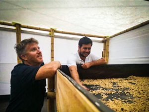 画像2: 【デカフェ】コロンビア・レインボー・ラバド