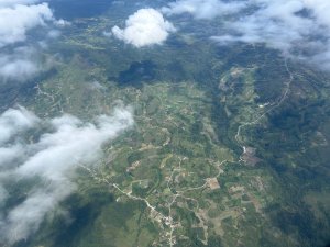 画像2: 【デカフェ】マンデリンG1・リントン　ラトゥ