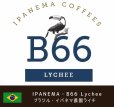 画像1: イパネマ農園・B66エリア Lychee (ブラジル産) (1)