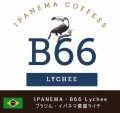 イパネマ農園・B66エリア Lychee (ブラジル産)