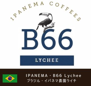 画像1: イパネマ農園・B66エリア Lychee (ブラジル産)