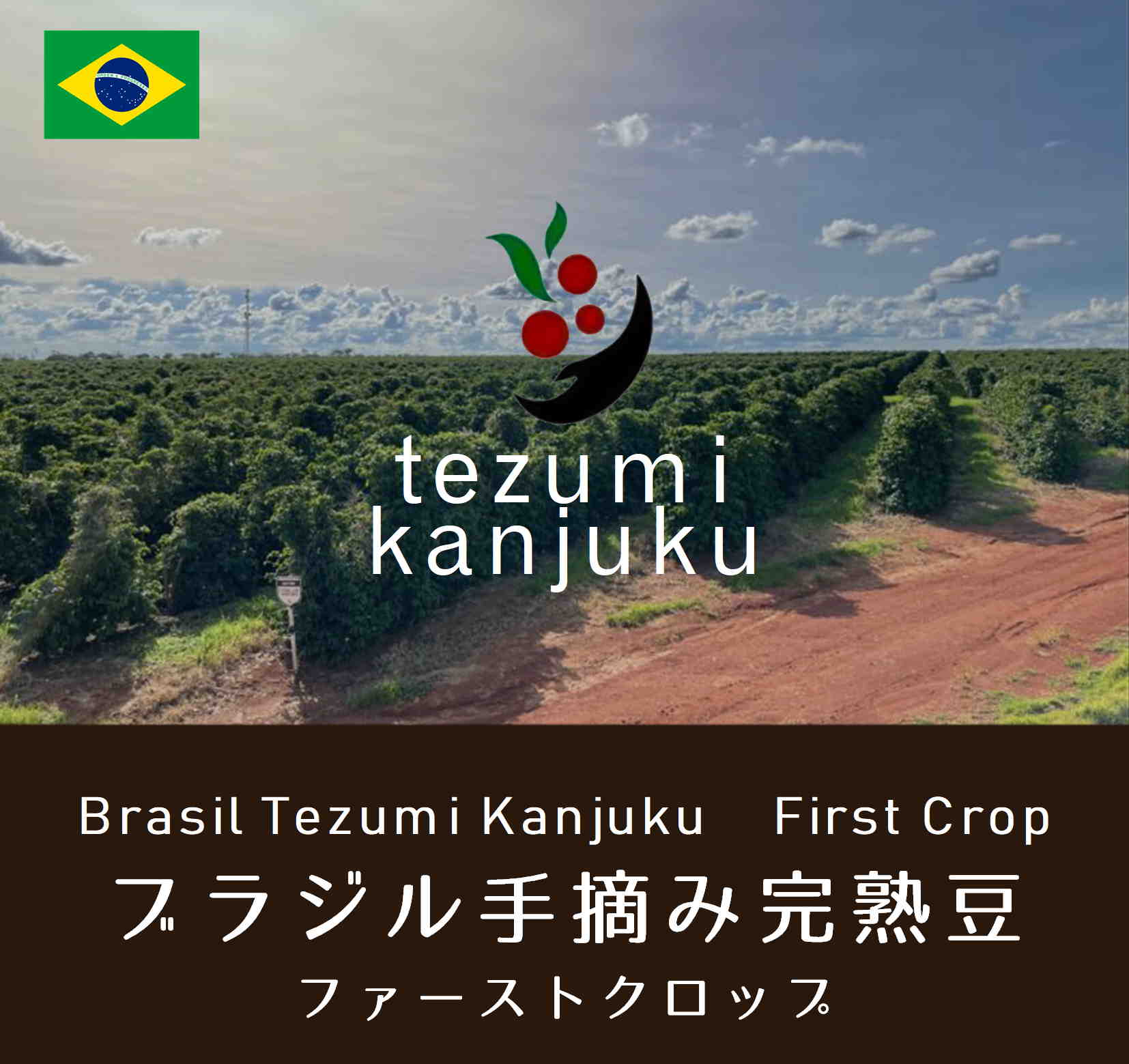 Compass Coffee Online Shop 焙煎珈琲豆 コンパスコーヒー