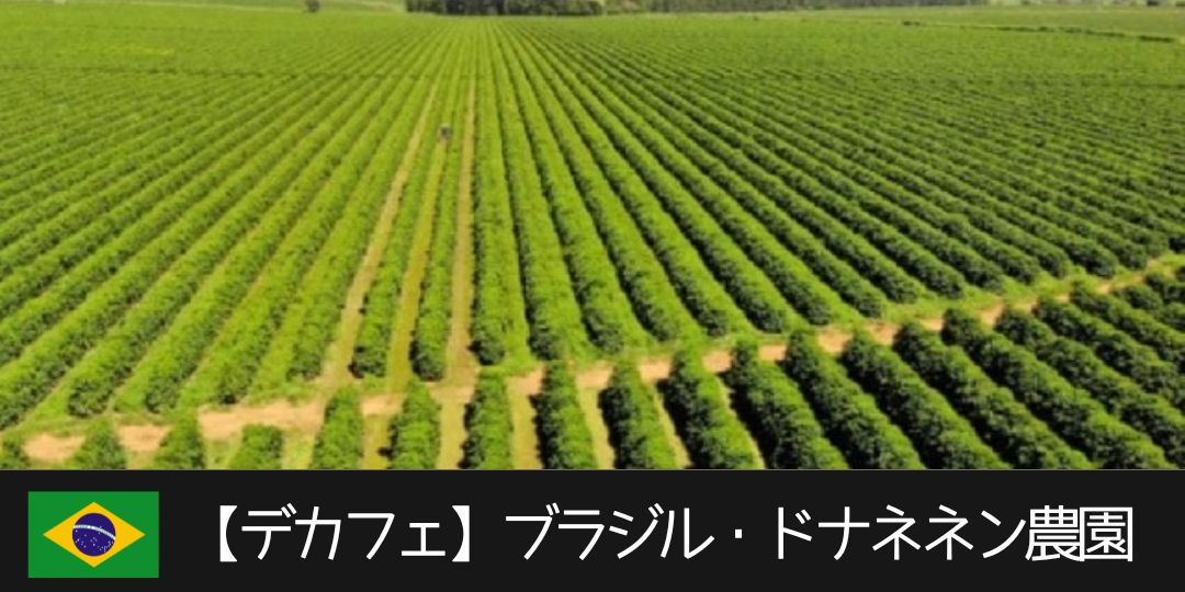 デカフェ・ドナネネン