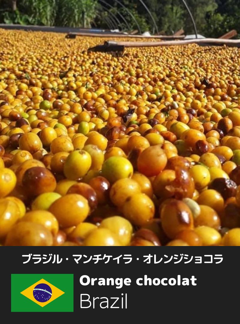 ブラジル