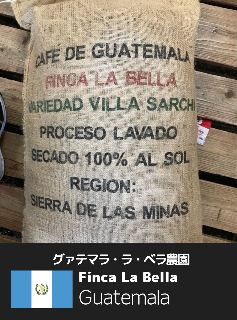 グアテマラ