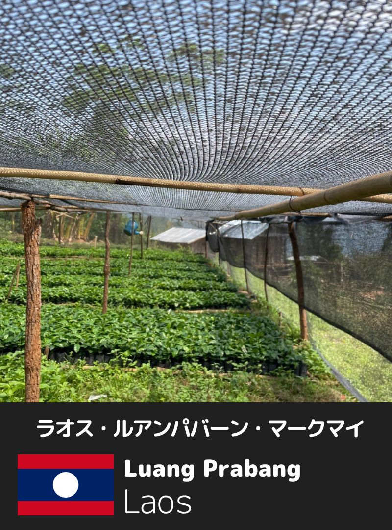 ラオス