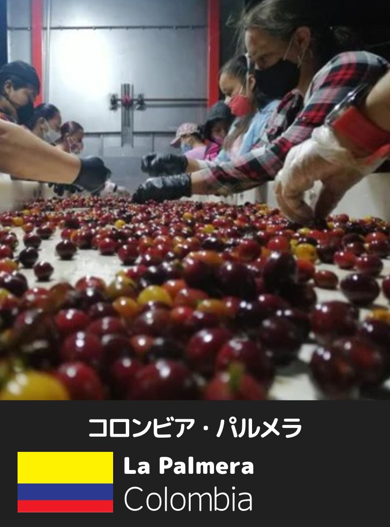 コロンビア