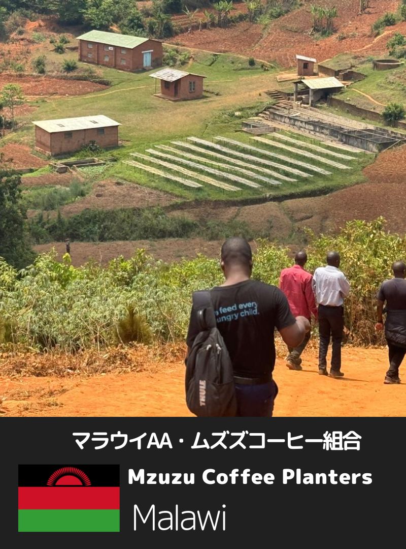 マラウィ