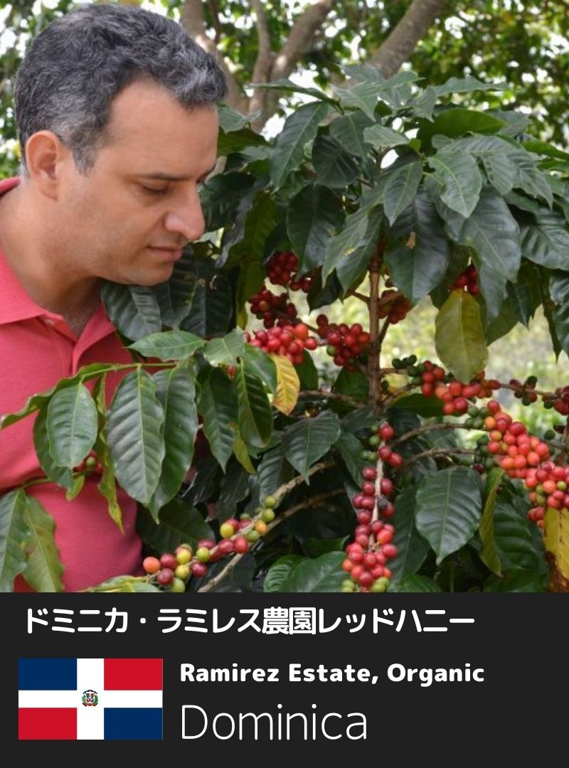 ドミニカ