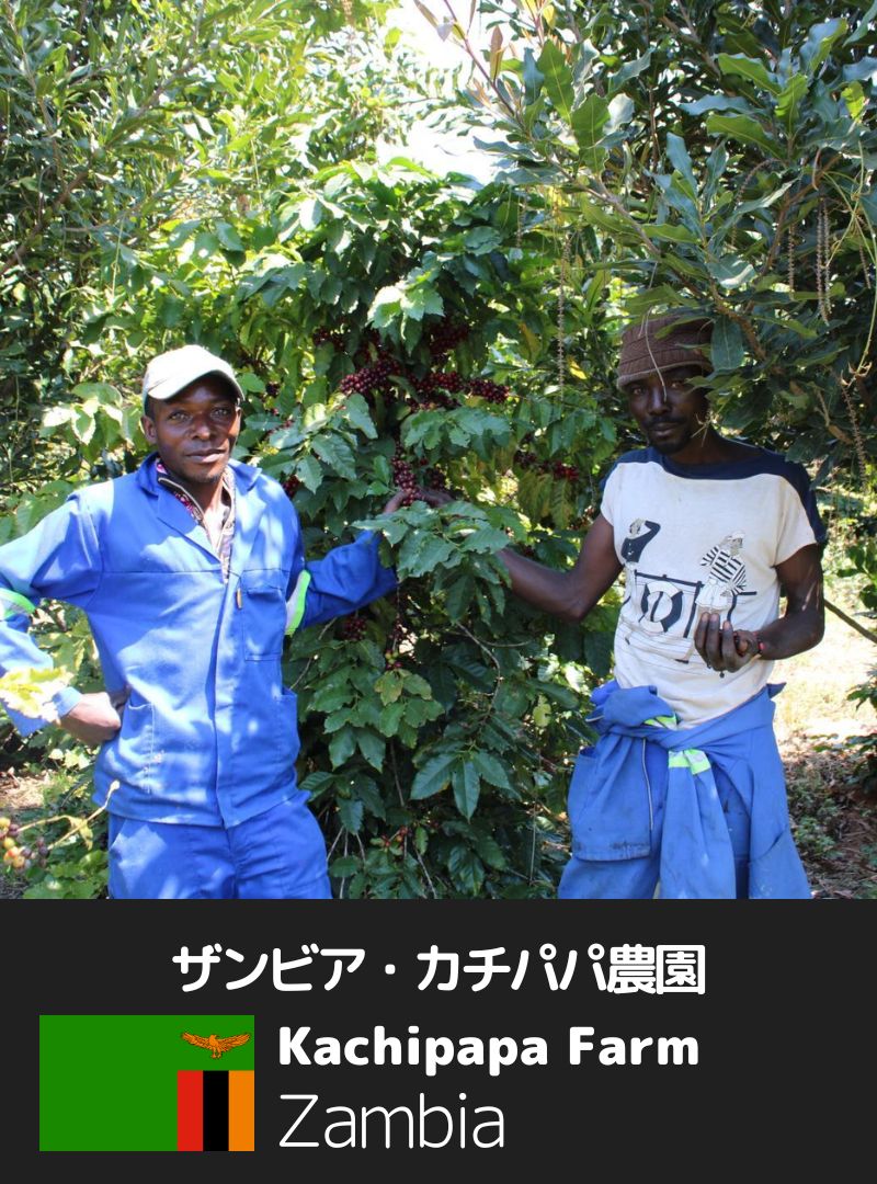 ザンビア