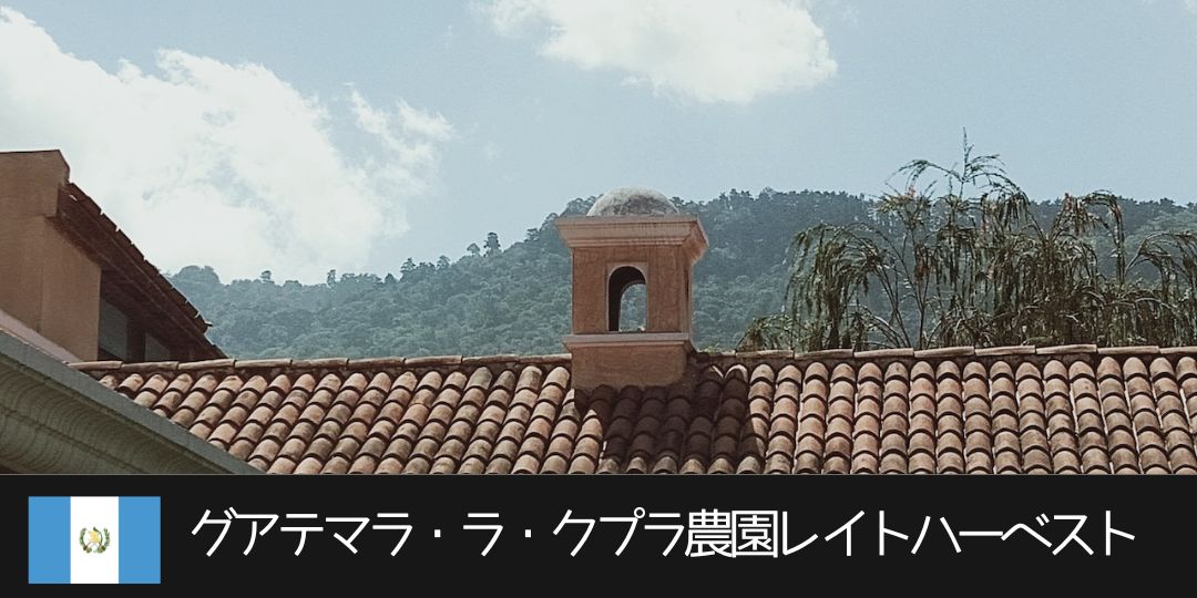 グアテマラ