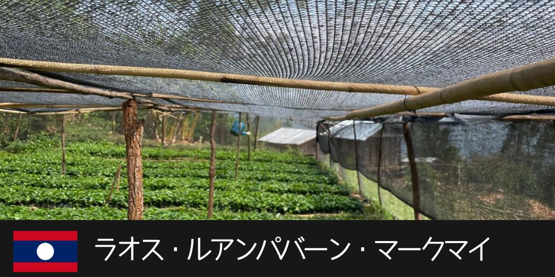 ラオス