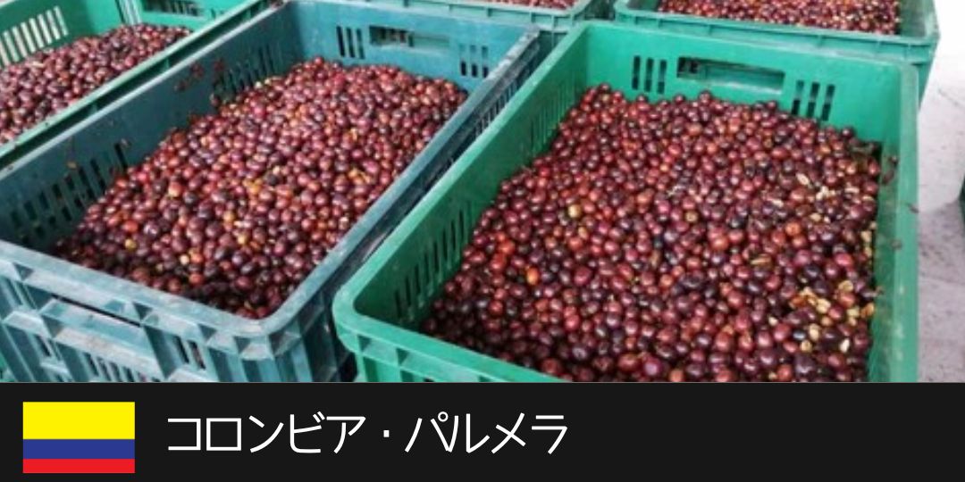 コロンビア・パルメラ