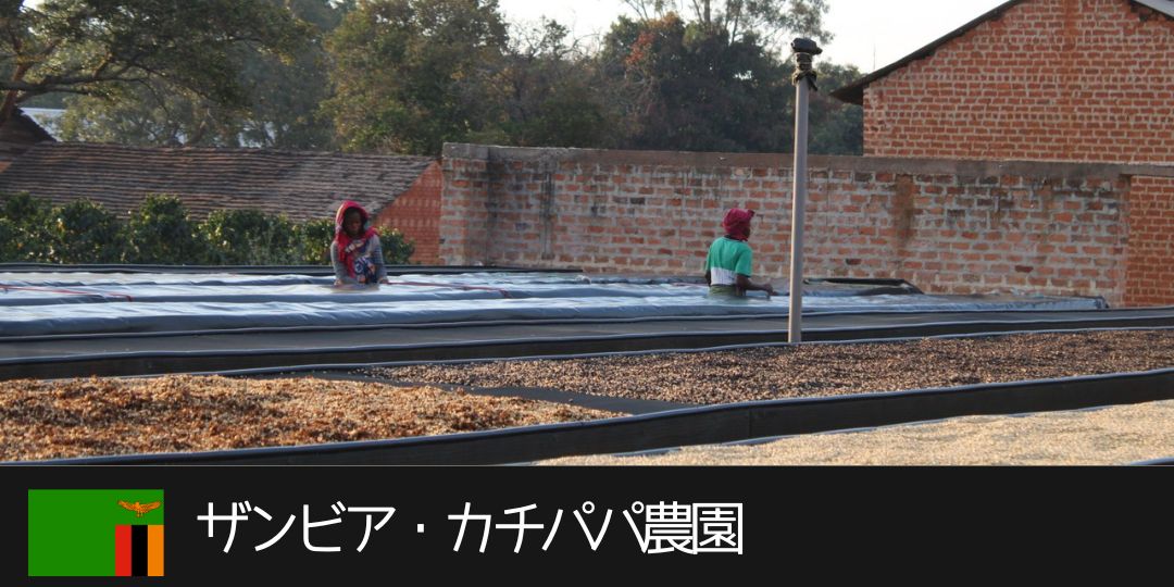 ザンビア