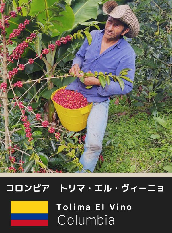 コロンビアトリマ