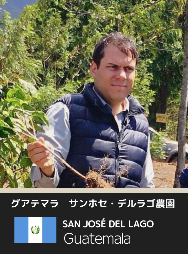 グアテマラサンホセ
