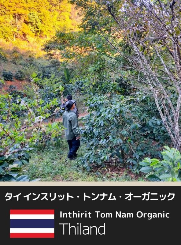 トンナム