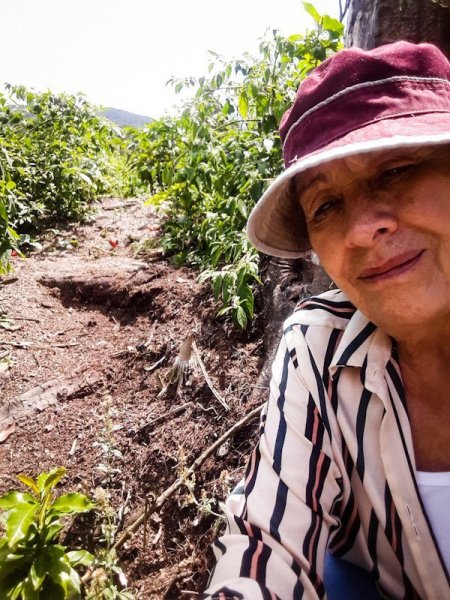 画像6: ボリビア・コパカバーナ農園 (6)