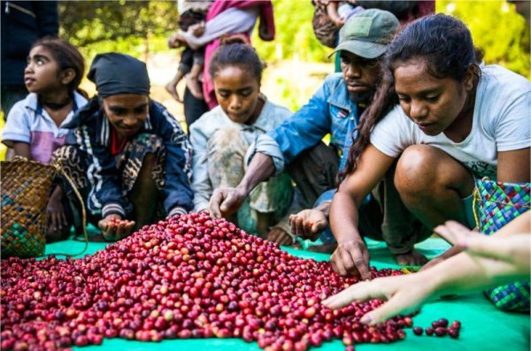 画像4: 東ティモール・レテフォホ・ゴウララ集落 (4)