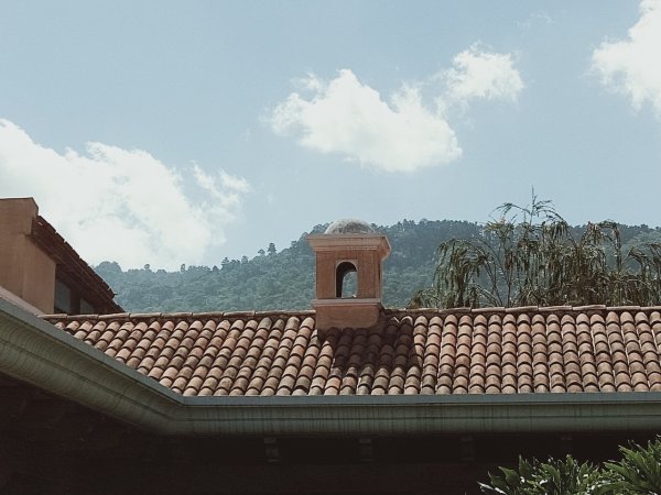 画像7: ラ・クプラ農園アンティグア(グァテマラ産) (7)