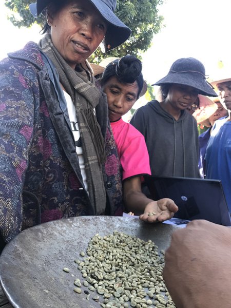 画像2: マダガスカル・お得なセット (2)