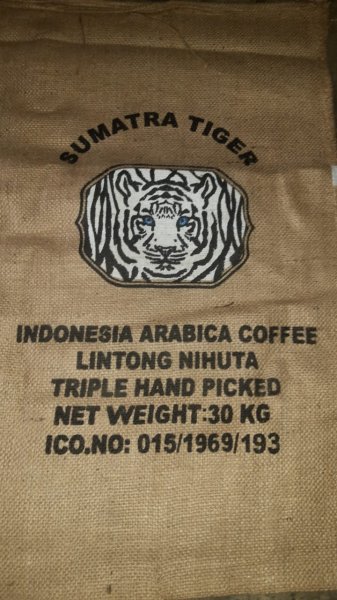 画像2: スマトラタイガー・ブルーアイ(インドネシア産) (2)