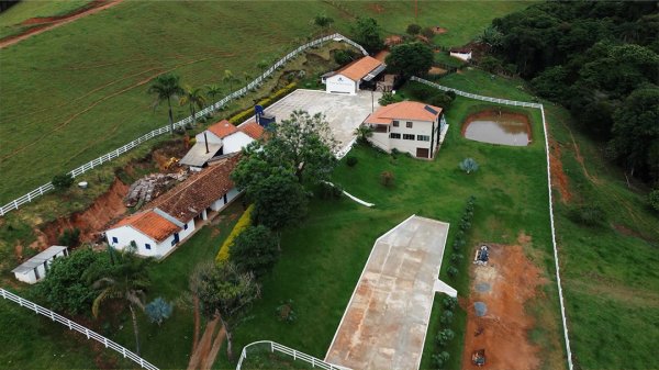 画像3: エクスプレス・クロップ・サンタヘレナ農園（ブラジル産） (3)