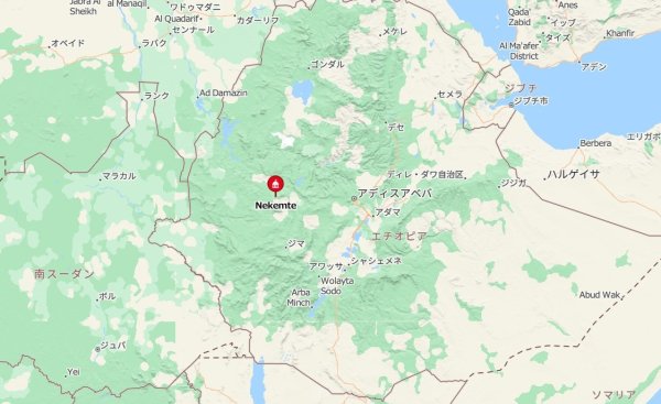 画像4: エチオピア・ネケムテG1・アンフィロ (4)