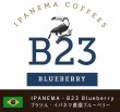 画像1: イパネマ農園・B23エリア Blueberry (ブラジル産) (1)