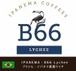 画像1: イパネマ農園・B66エリア Lychee (ブラジル産) (1)