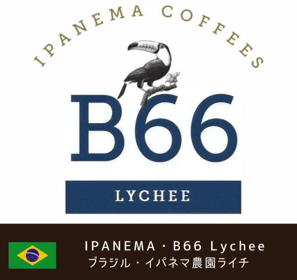 画像1: イパネマ農園・B66エリア Lychee (ブラジル産) (1)