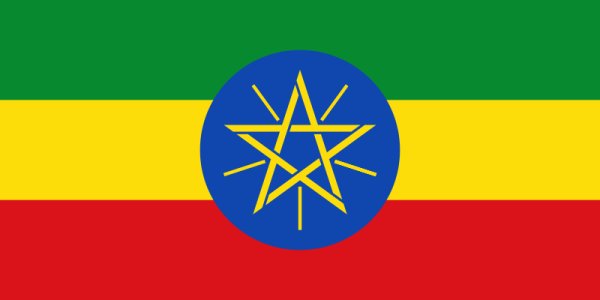 画像1: 【デカフェ】エチオピア・タデGG (1)